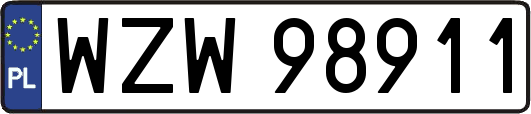 WZW98911