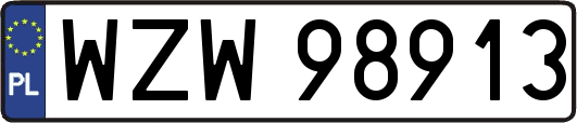 WZW98913