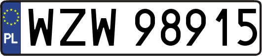 WZW98915