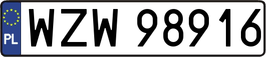 WZW98916