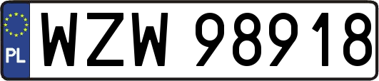 WZW98918