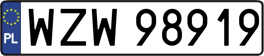 WZW98919
