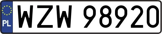 WZW98920