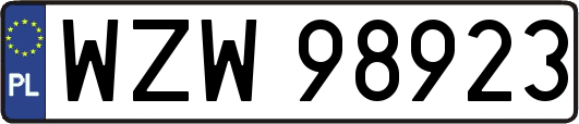 WZW98923