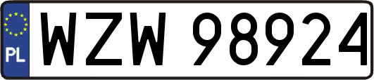 WZW98924