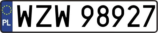WZW98927
