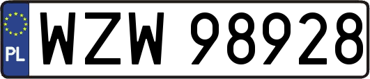 WZW98928