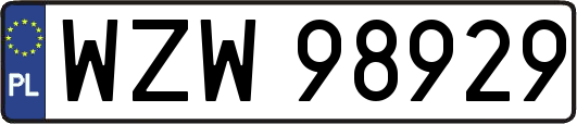 WZW98929