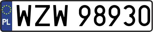 WZW98930