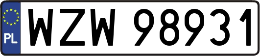 WZW98931
