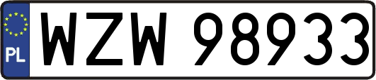 WZW98933