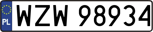 WZW98934