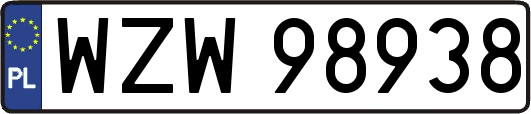 WZW98938
