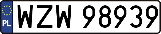 WZW98939