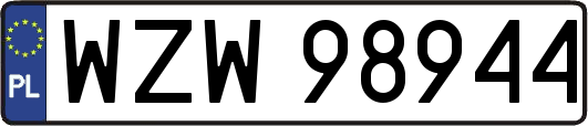 WZW98944