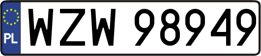 WZW98949