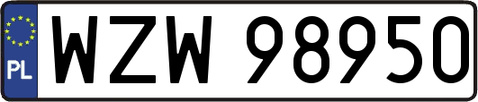 WZW98950