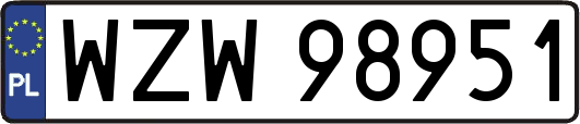 WZW98951