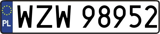 WZW98952