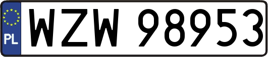 WZW98953