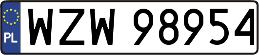 WZW98954