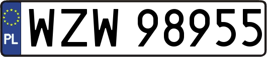 WZW98955
