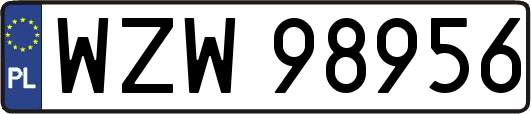 WZW98956