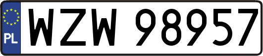 WZW98957