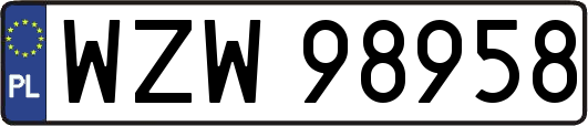 WZW98958