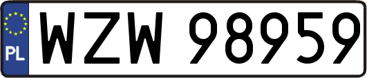 WZW98959