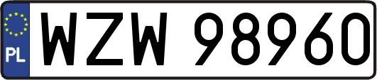 WZW98960