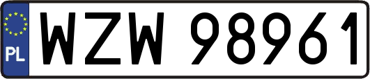 WZW98961