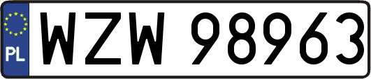 WZW98963