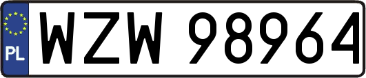 WZW98964