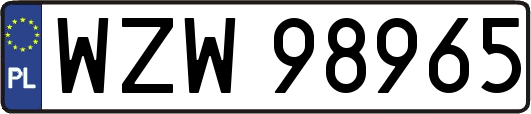 WZW98965