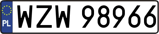 WZW98966