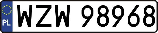 WZW98968