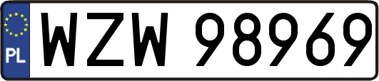 WZW98969