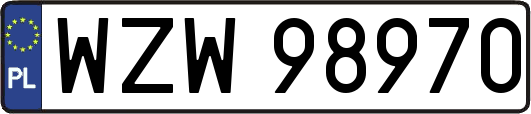WZW98970