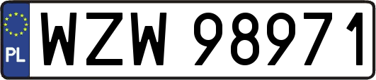 WZW98971