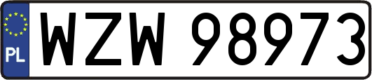 WZW98973