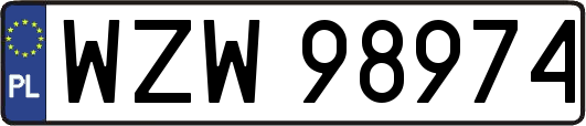 WZW98974