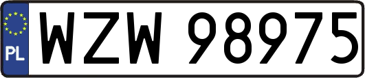 WZW98975