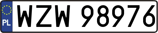 WZW98976