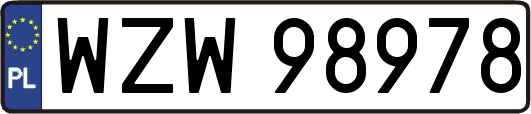 WZW98978