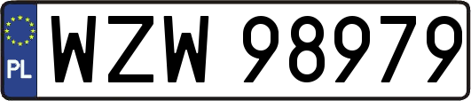 WZW98979