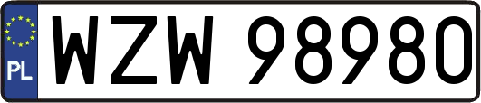 WZW98980