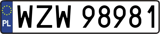 WZW98981