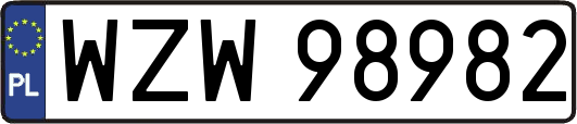 WZW98982