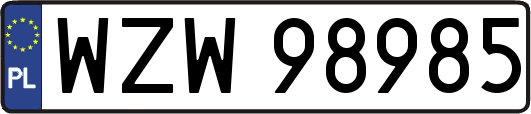 WZW98985